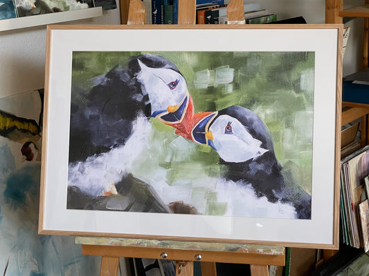 Søpapegøjer // Puffins