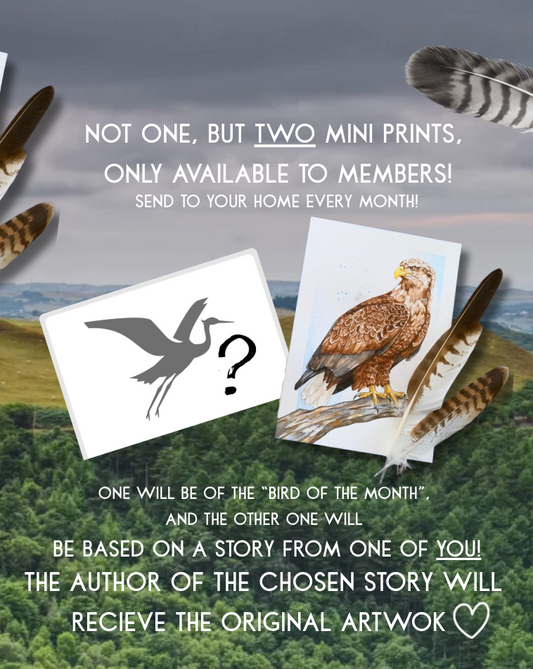 Birds by Post