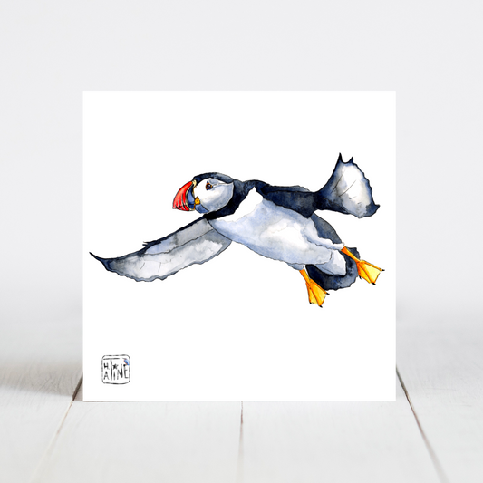 Søpapegøje // Puffin 07