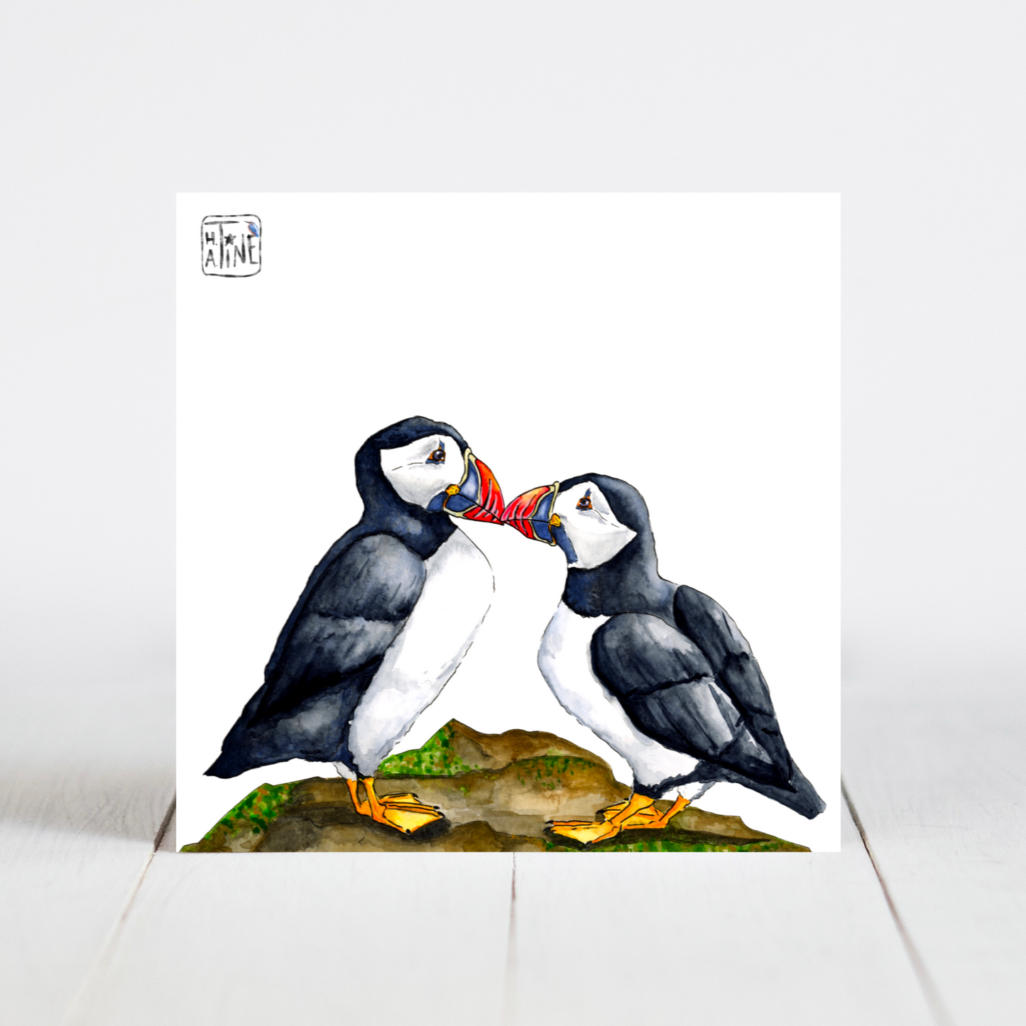 Søpapegøjer // Puffins 09