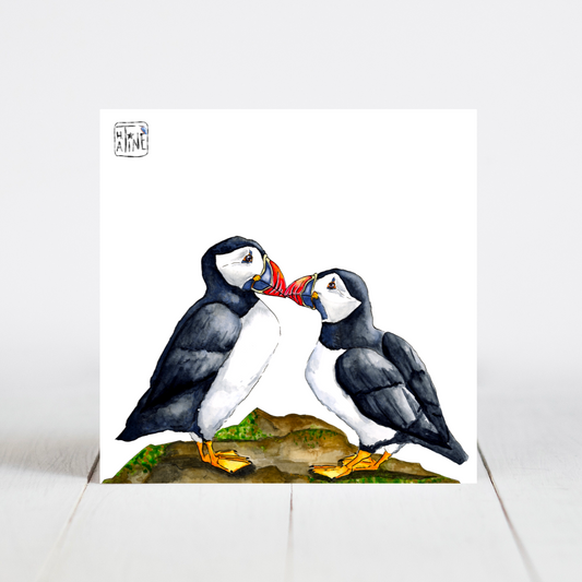 Søpapegøjer // Puffins 09