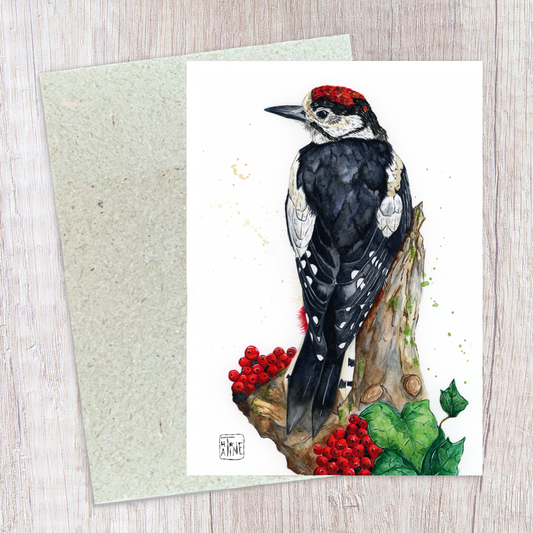 Great spotted woodpecker // Stor flagspætte