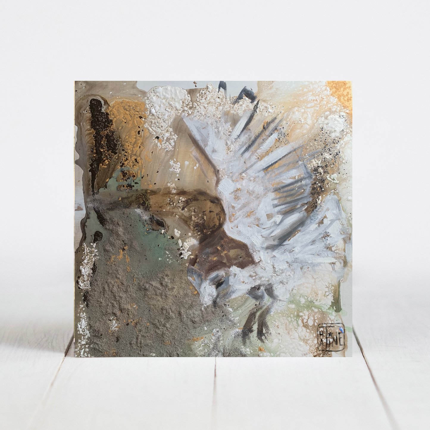 Slørugle // Barn owl