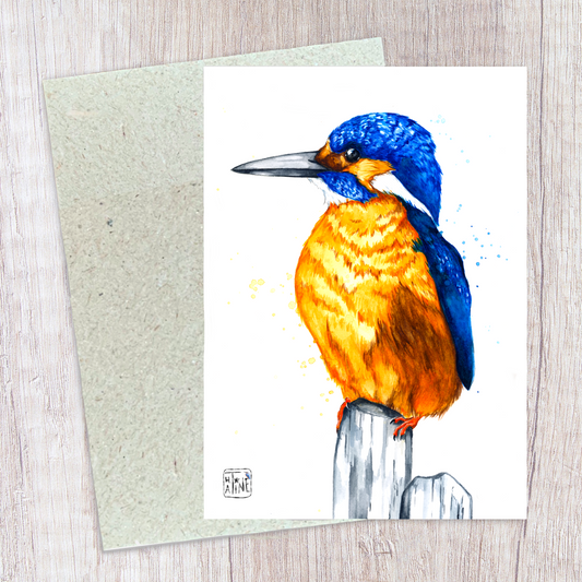 Isfugl 03 // Kingfisher 03