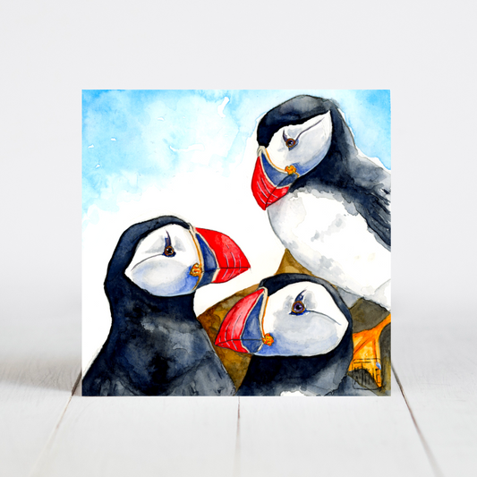 Søpapegøjer // Puffins 10