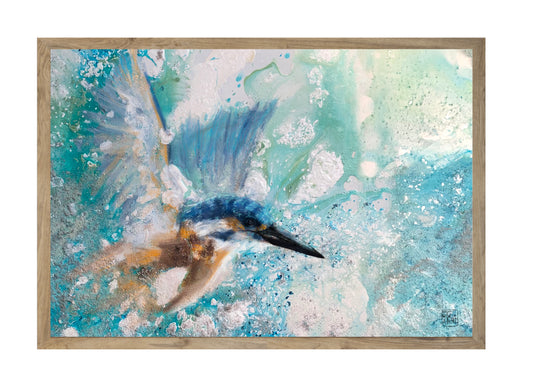 Isfugl // Kingfisher