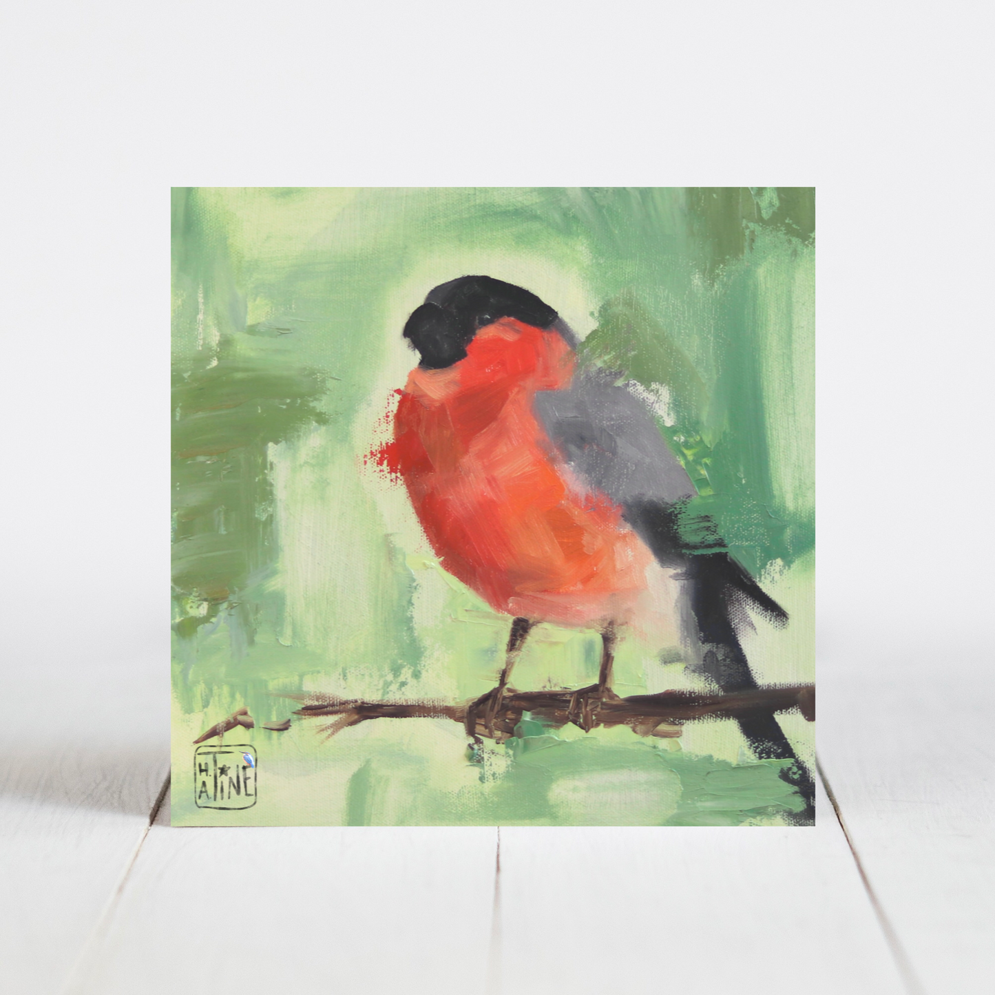 Dompap // Bullfinch