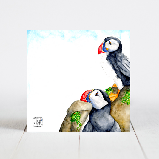 Søpapegøjer // Puffins 05