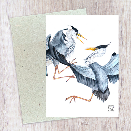 Fiskehejre // Grey herons