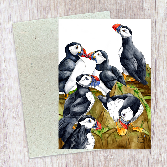 Søpapegøjer // Puffins