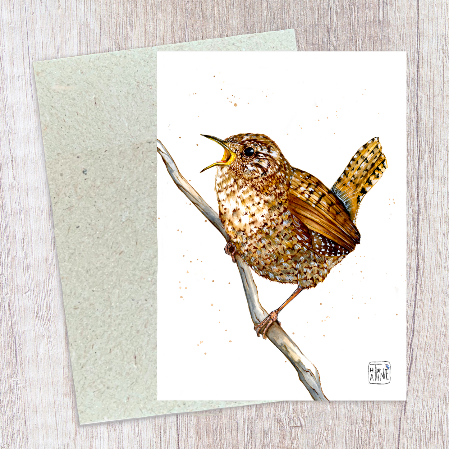 Gærdesmutte // Wren