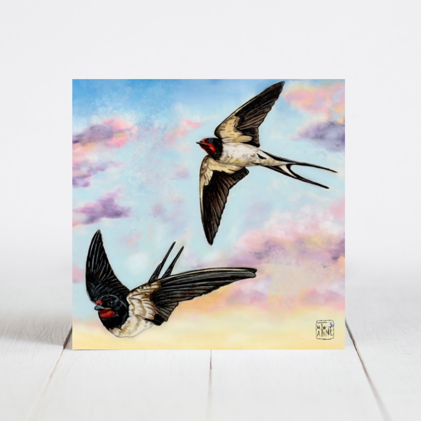 Svaler // Swallows