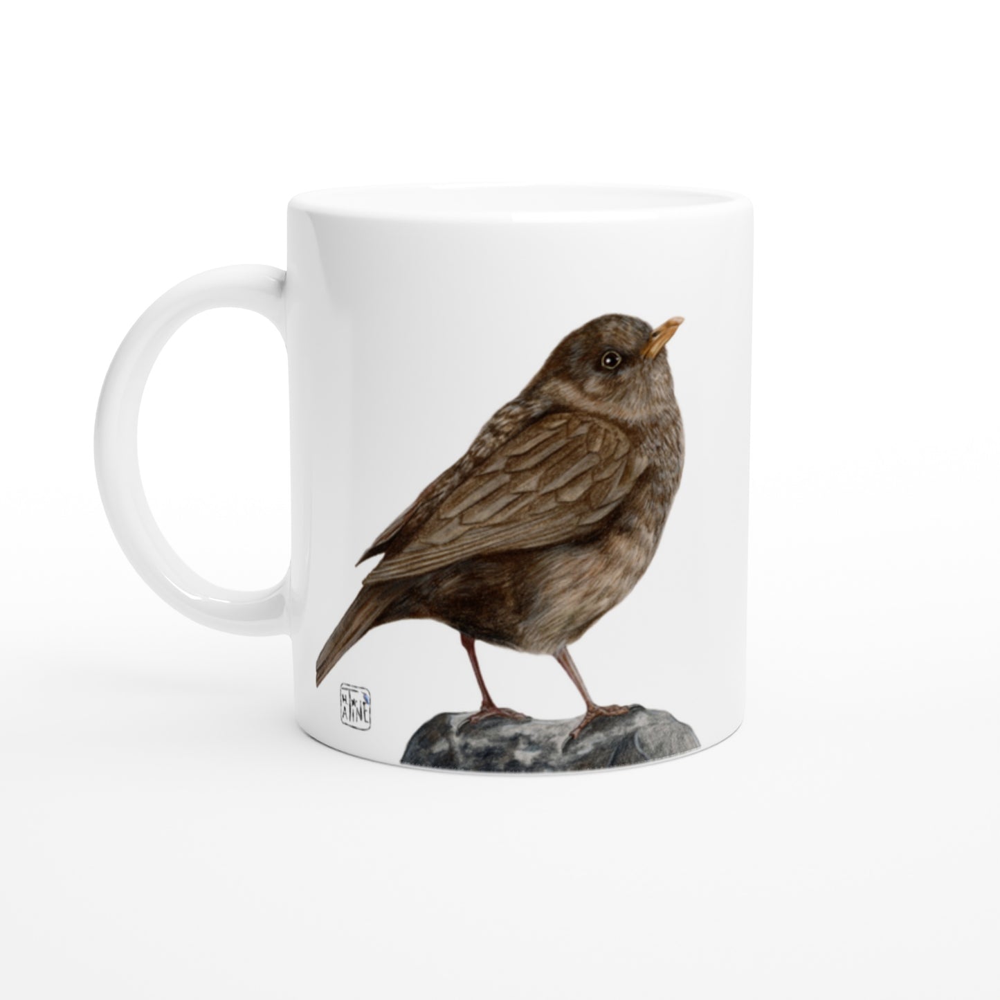 Solsort // Blackbird
