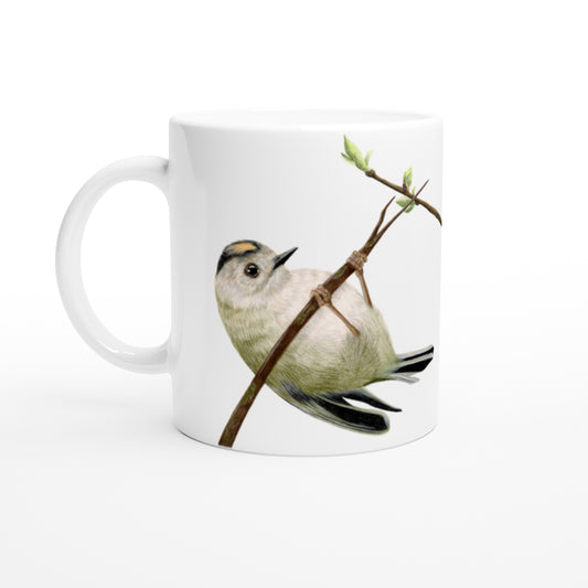 Fuglekonge // Goldcrest