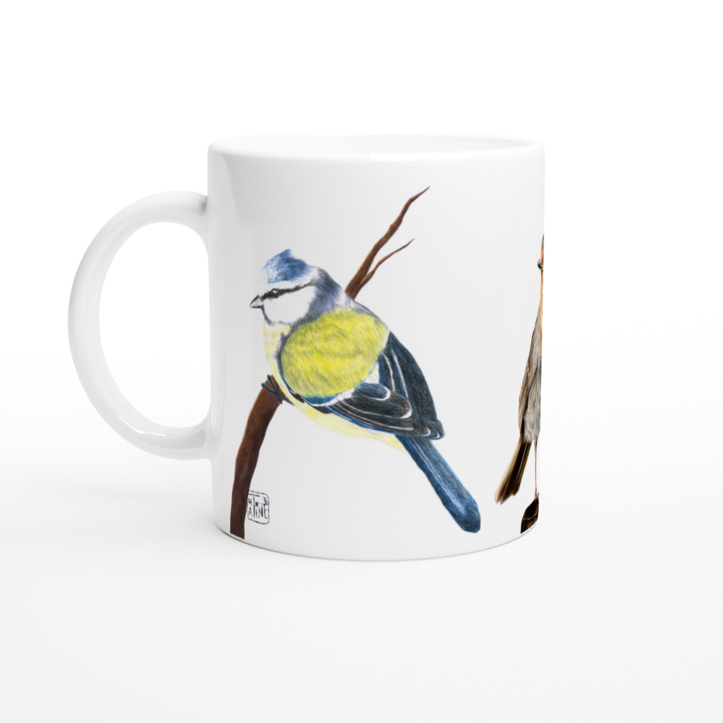 Havens fugle // Garden birds