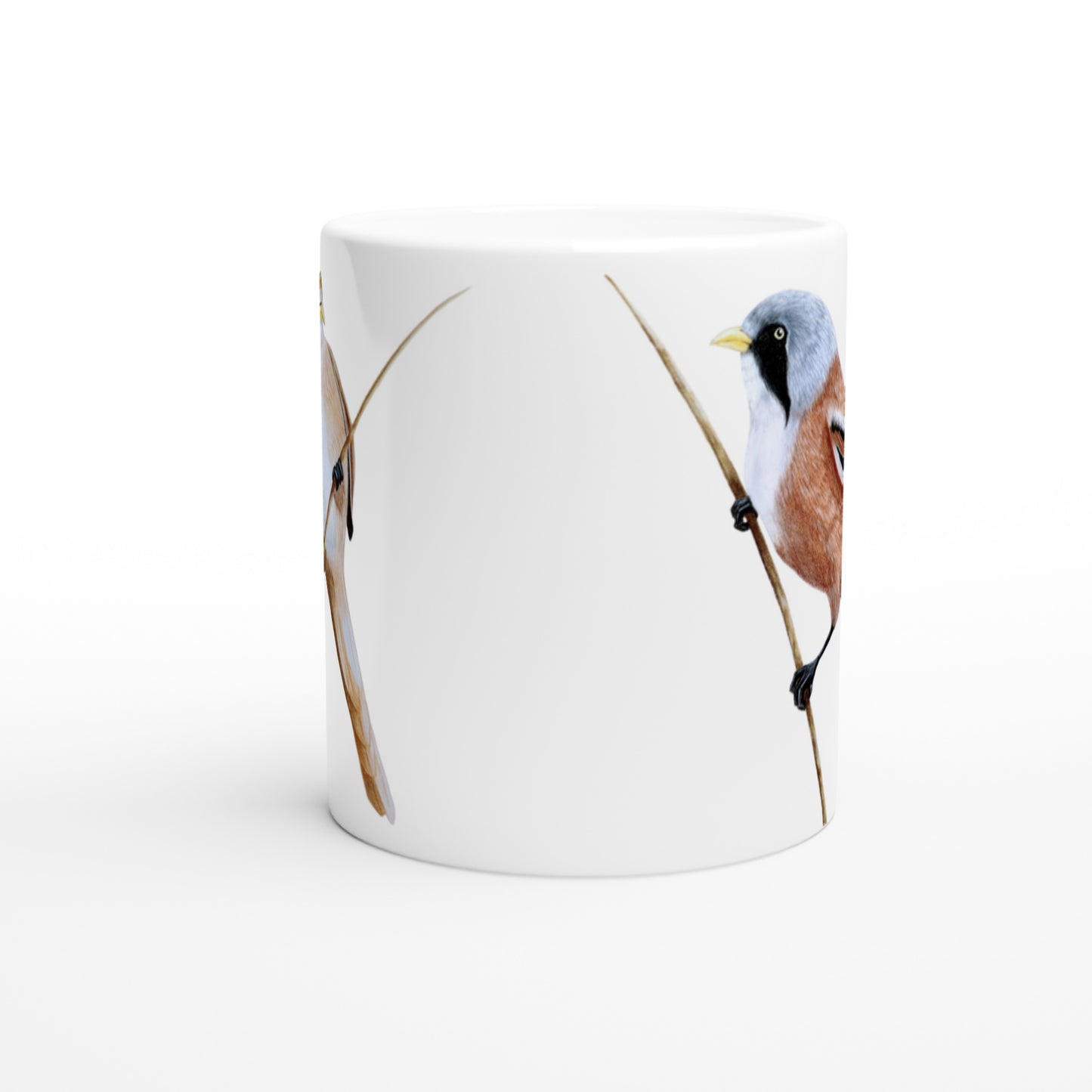 Skægmejse // Bearded reedling