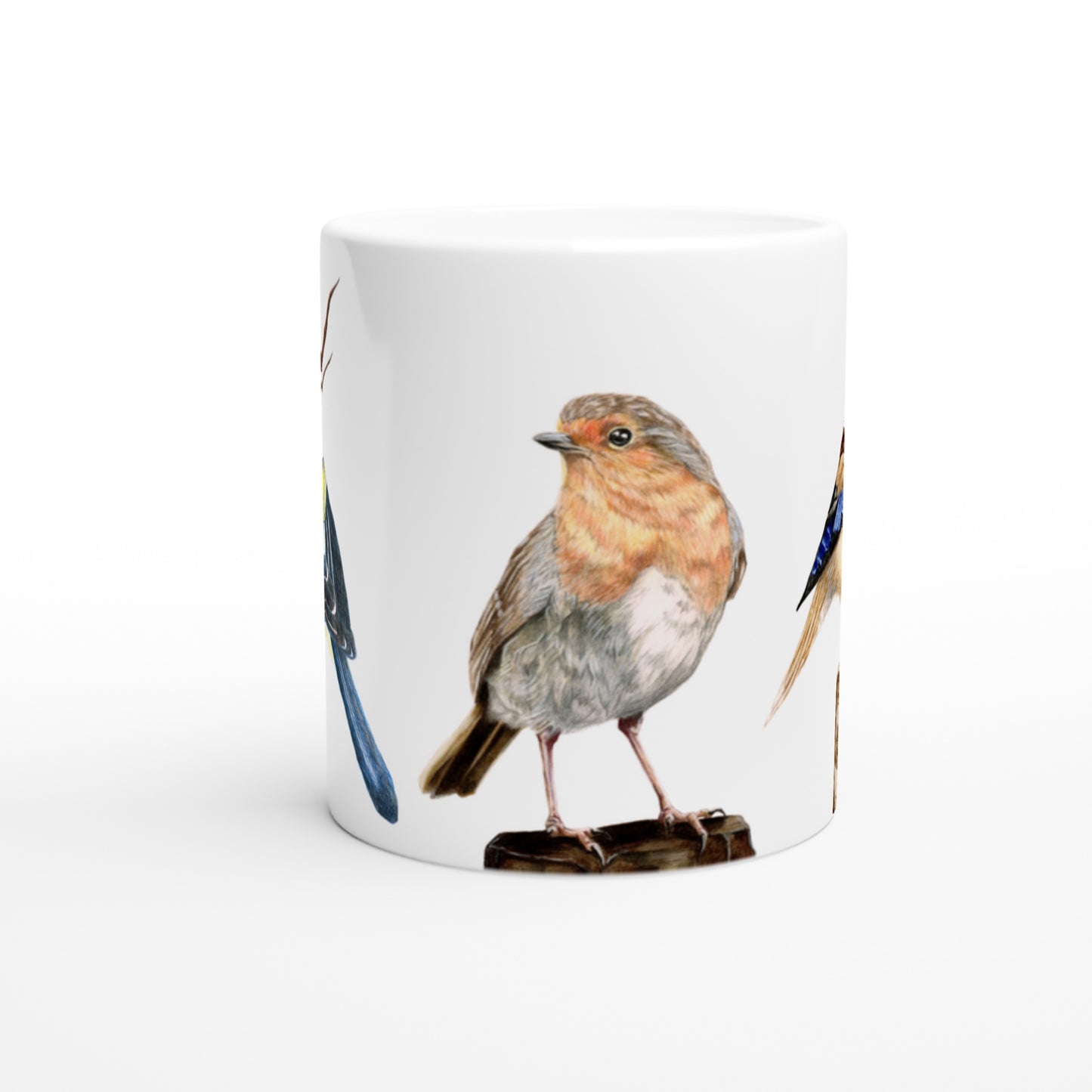 Havens fugle // Garden birds