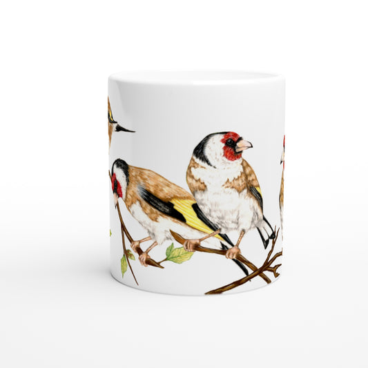 Stillits // European goldfinches