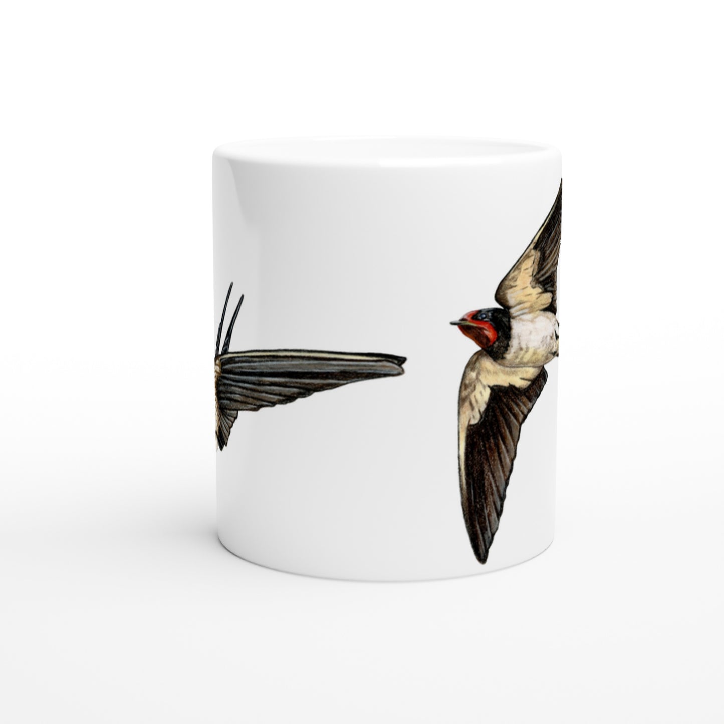 Landsvaler // Barn Swallows