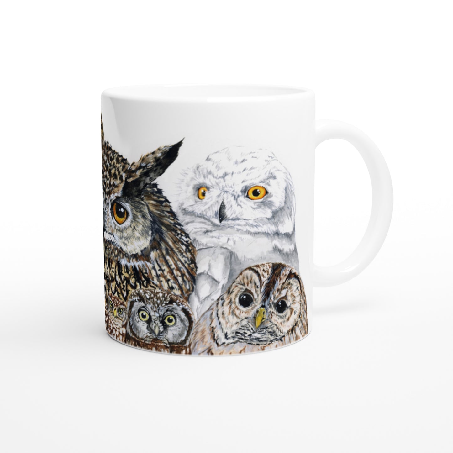 Ugler // Owls