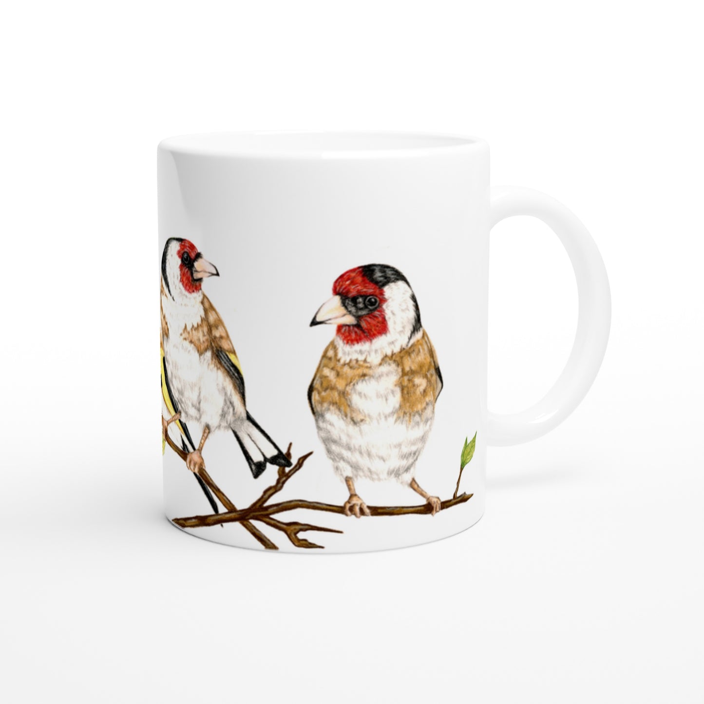 Stillits // European goldfinches