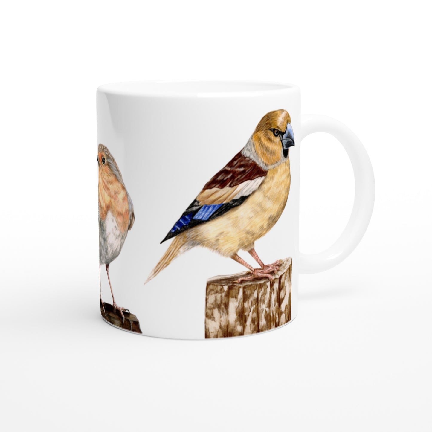 Havens fugle // Garden birds