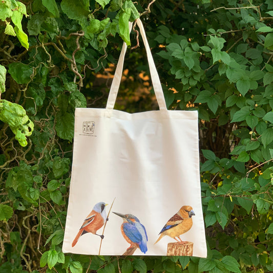 Fugle net // Bird tote bag