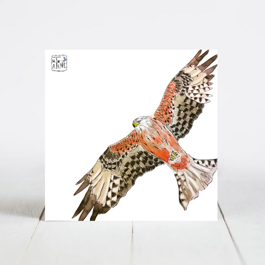 Rød glente // Red kite