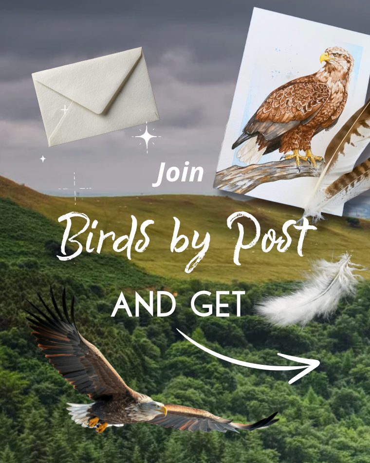 Birds by post