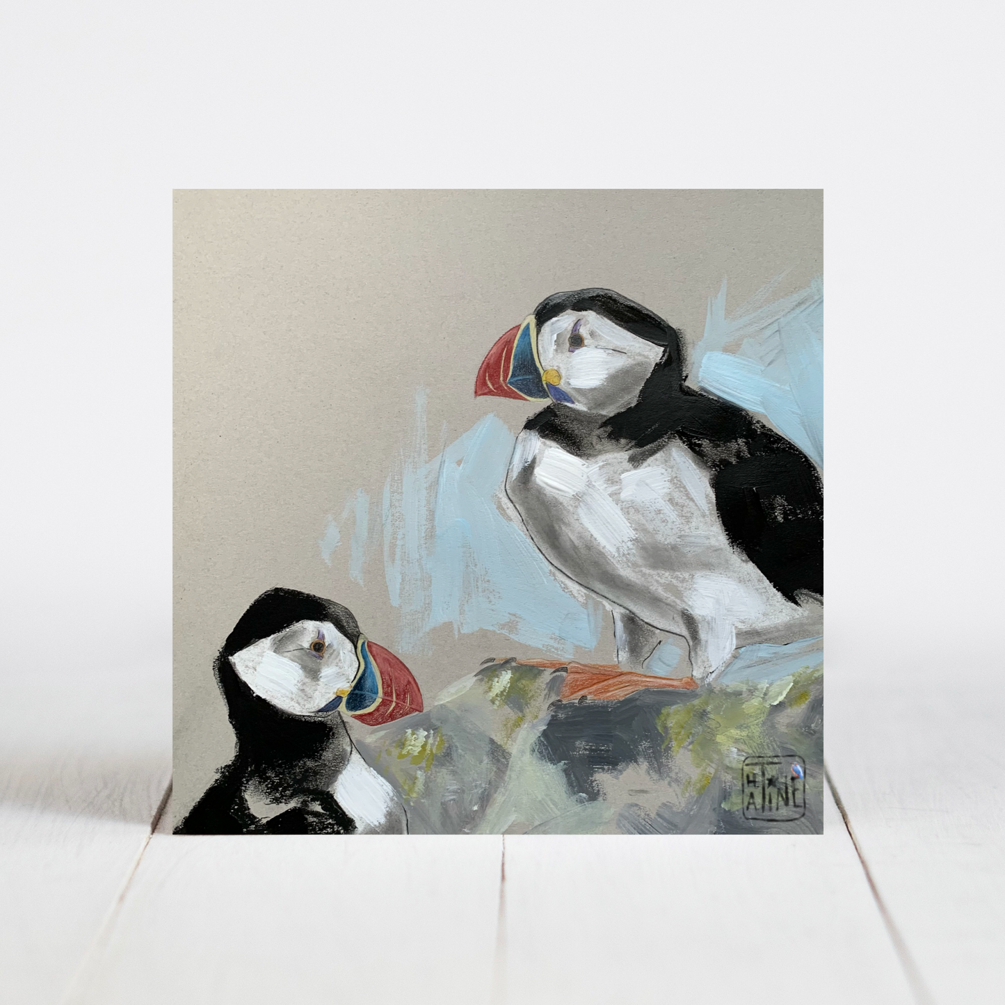 Søpapegøjer // Puffins