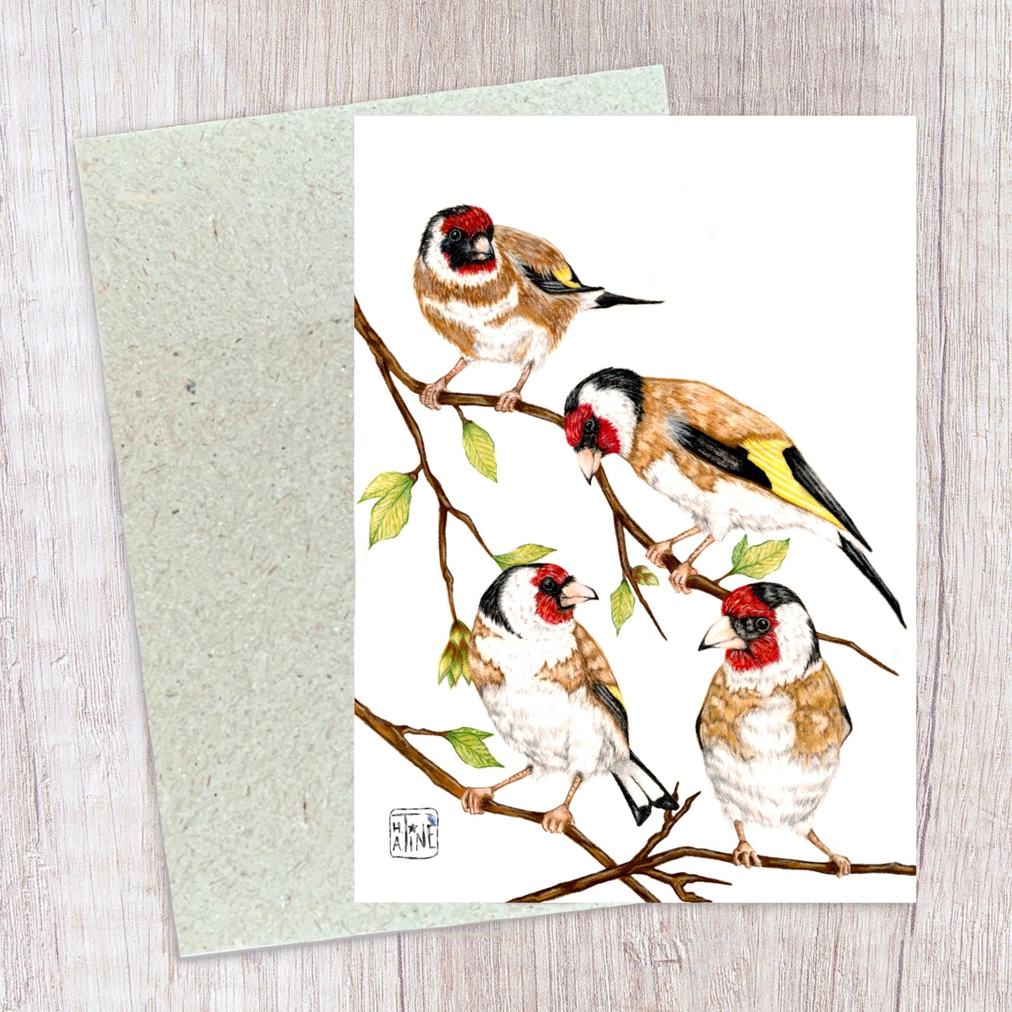 Stillits // European Goldfinches