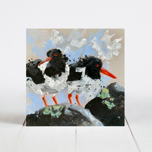 Strandskader // Oystercatchers