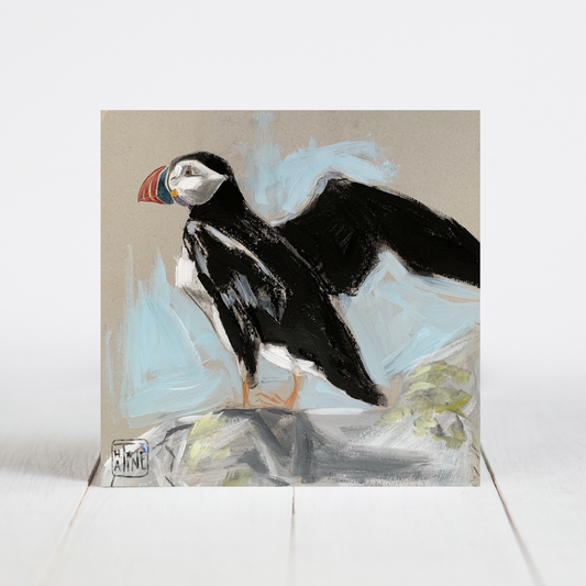 Søpapegøje // Puffin 01