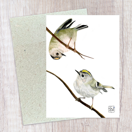 Fuglekonger // Goldcrests