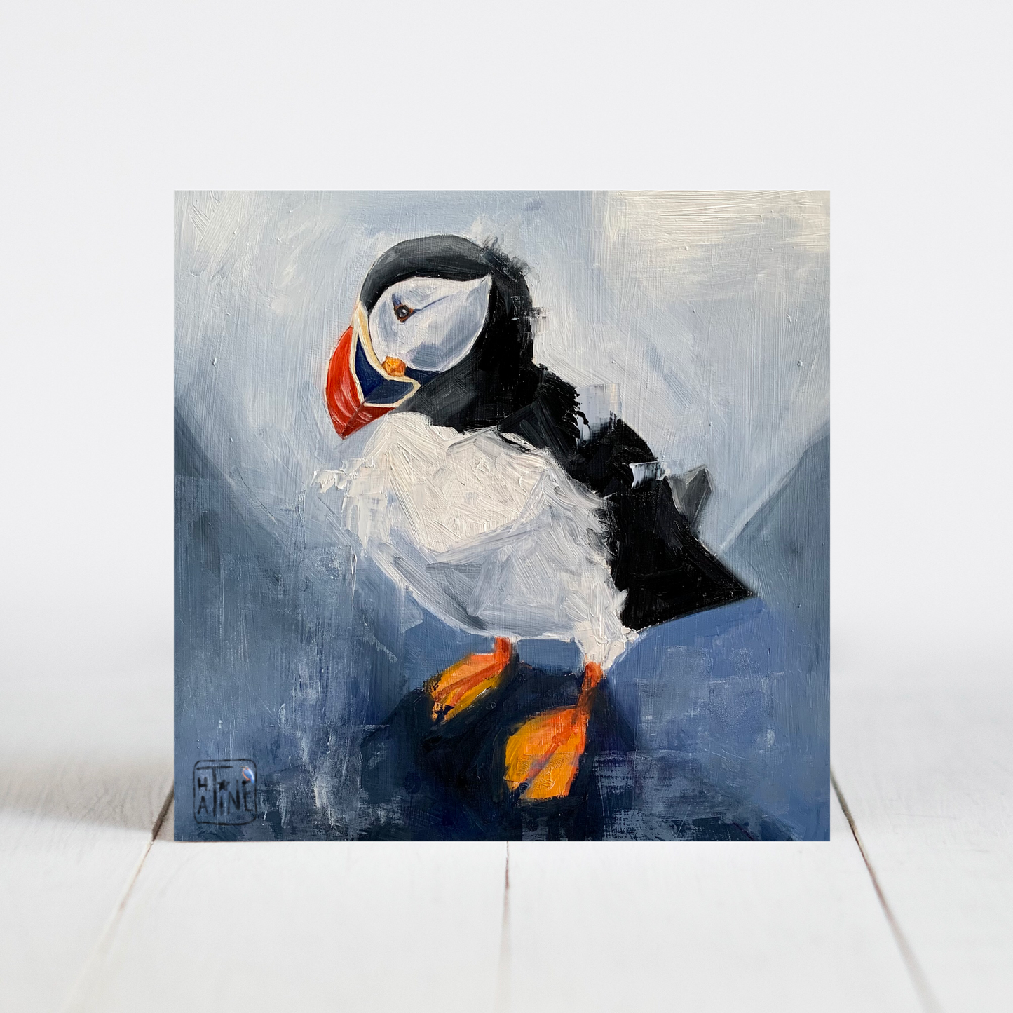 Søpapegøje // Puffin 11