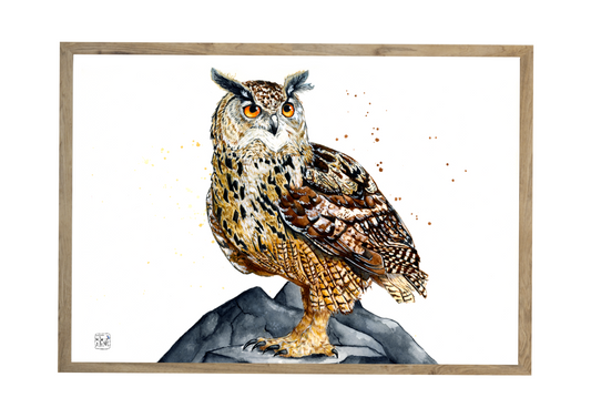 Stor hornugle // Eurasian eagle-owl