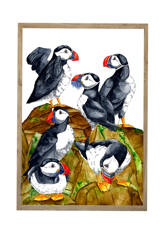 Lundeflok // Puffins