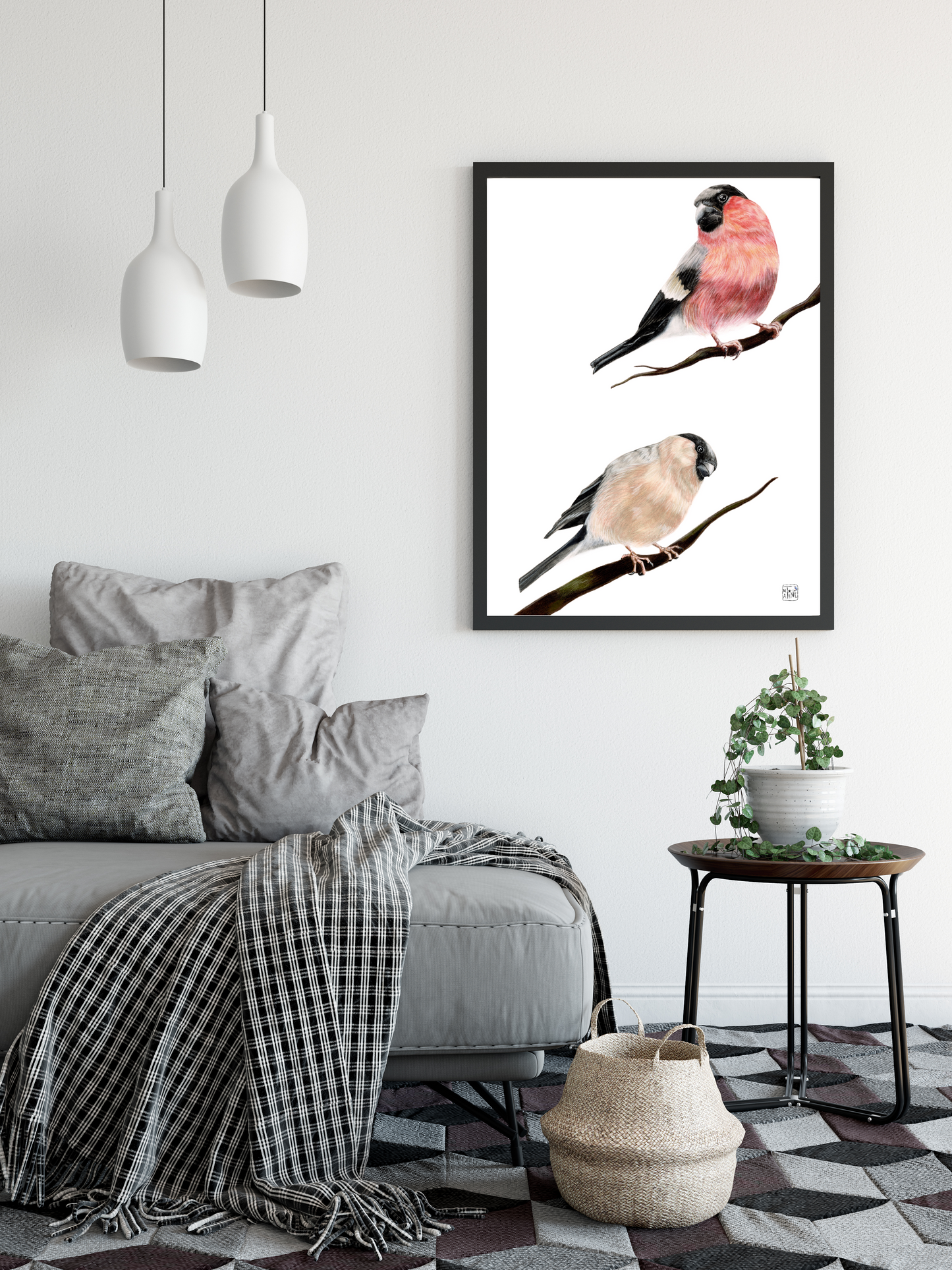 Dompap par // Bullfinch pair