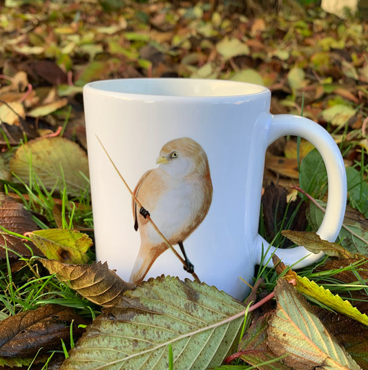 Skægmejse // Bearded reedling