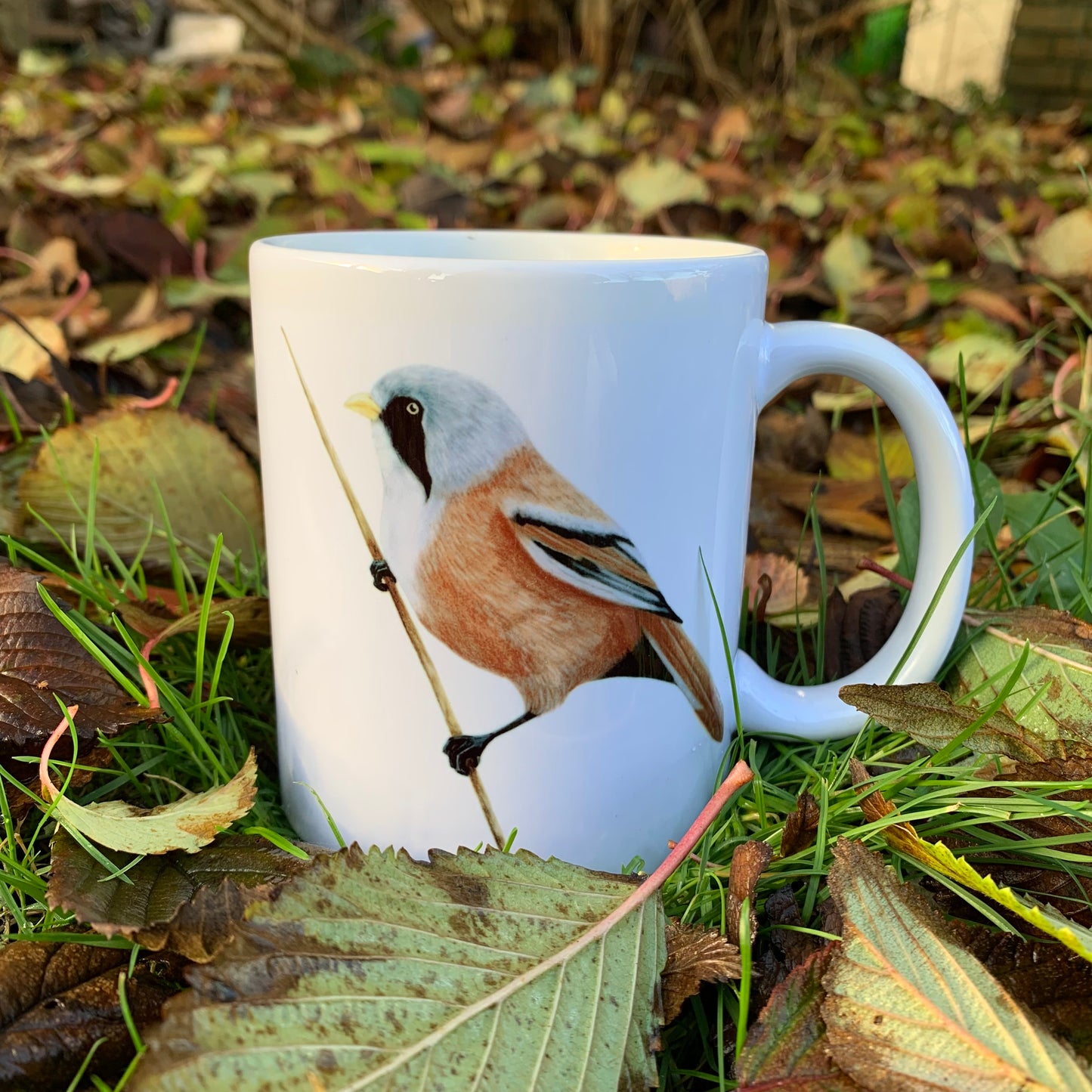 Skægmejse // Bearded reedling